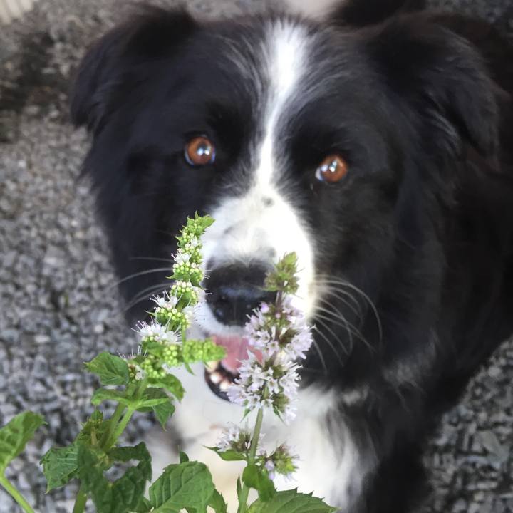 A381ed93 1393 448e bc76 516e452bd0f9 1566431002595