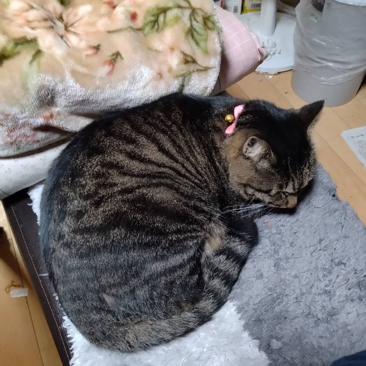 A38228f0 e1c7 4da7 bbed 6f9223ee55ca 1666350004039