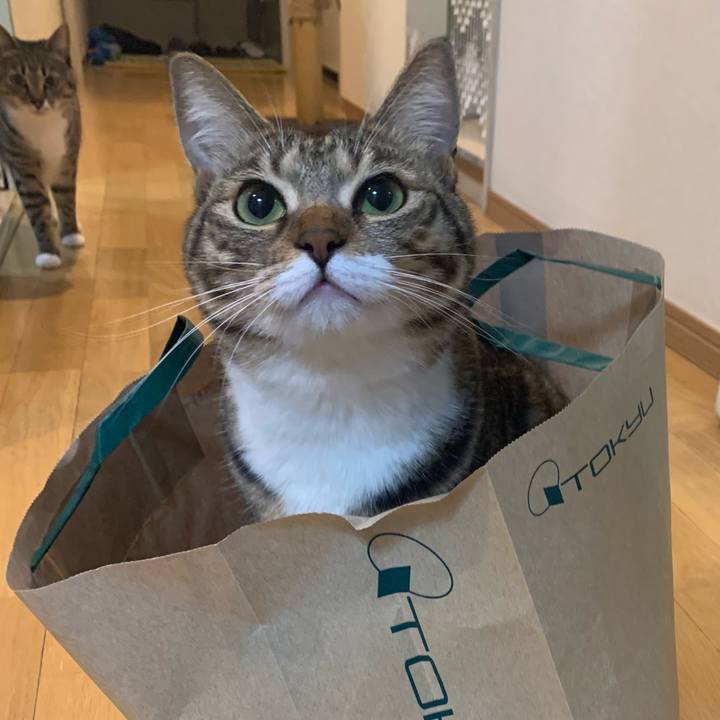 A38245ad 3b30 4f9e 9d5c e594a09ff64c 1552005073969