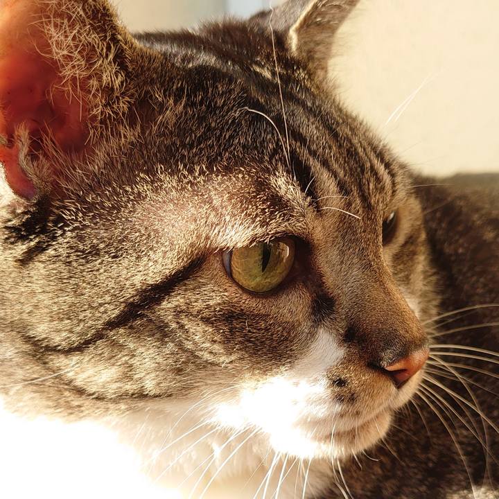 A3824a91 9a2f 4965 b724 7a7a17ea230e 1604104143849