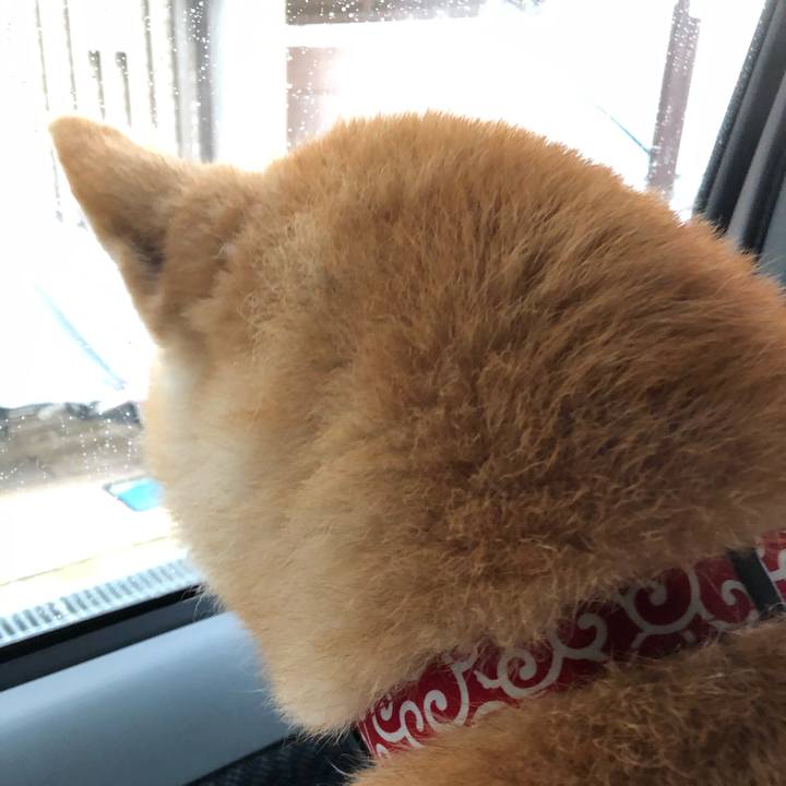 A38258b0 7bef 4b35 b146 39cbe7d673a2 1595770105091