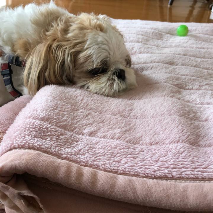 A3825905 6469 4dac a50c a200b272cb67 1527079465078