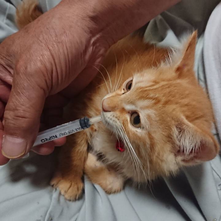 A3827157 50b4 449f a152 808a00e6d53a 1628676913741