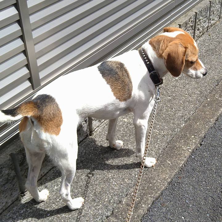 A3829a24 8749 420a ab67 f36664ee08dd 1662537688478