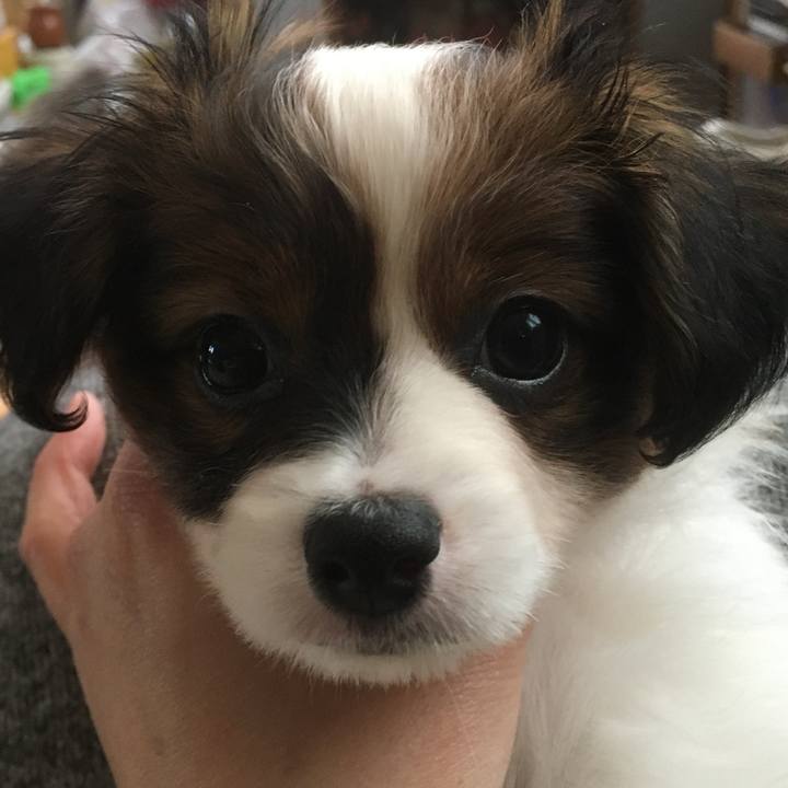 A382b7ed b417 4dd5 92b8 2b4b0e968f75 1728876086075