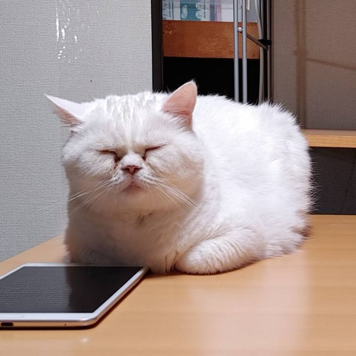 A382c5f4 c84d 4010 a0ec 416591f1a34b 1684508186215