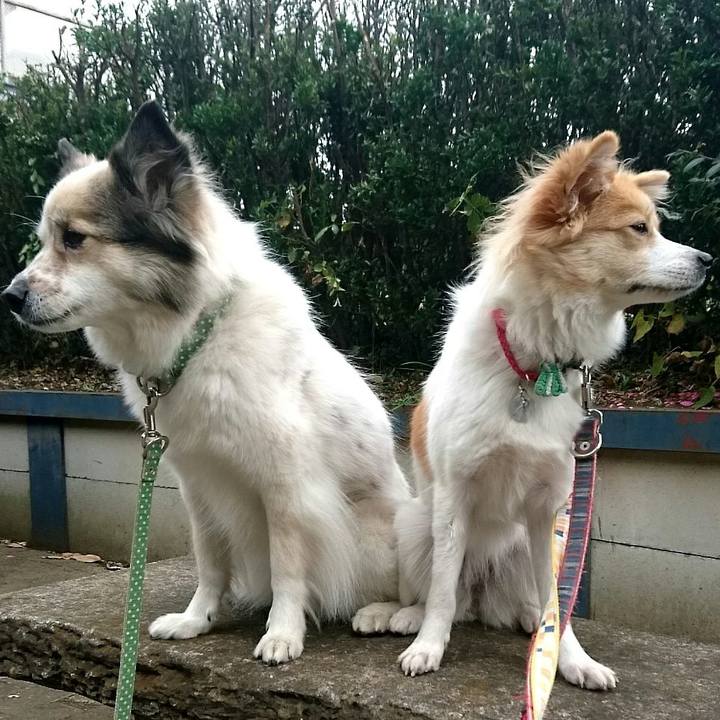 A382daca 388c 4f45 be46 ce8e7b5cf7a2 1513258406344