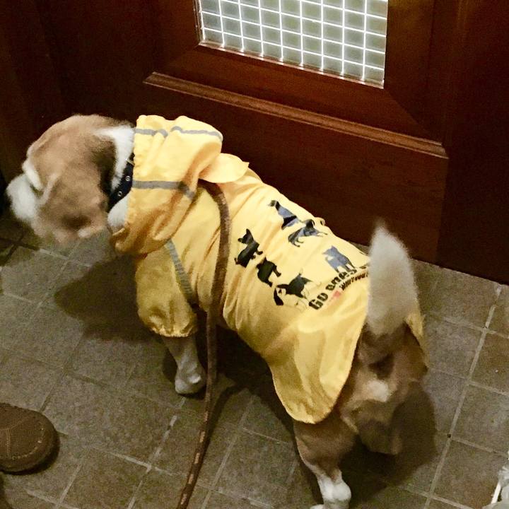 A382dfe4 1a3b 451b bf32 be618f3068bb 1551590927379