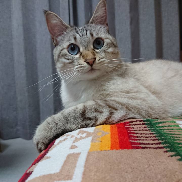 A382f60c f09e 410a a529 35c0817f5345 1596889912032