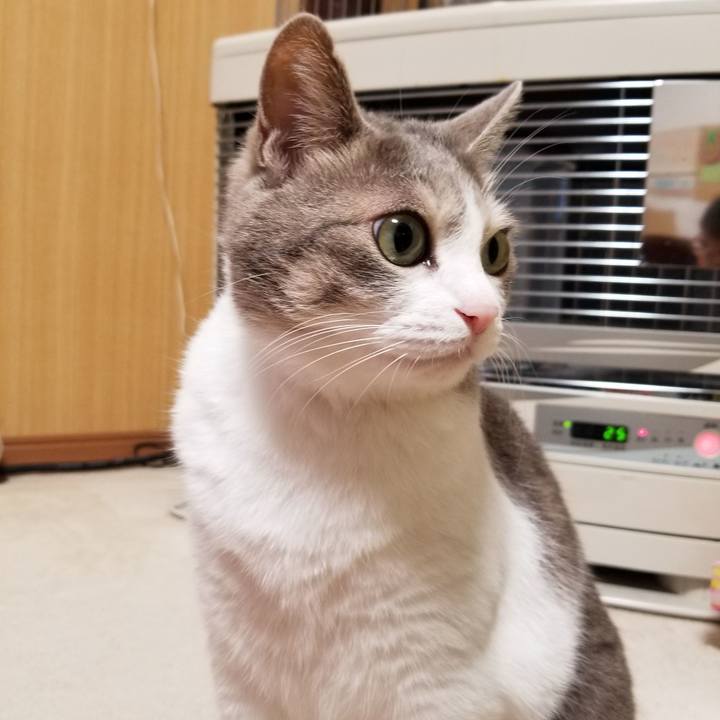 A38311c5 4440 48c2 9437 1b2be99344e6 1637412162435