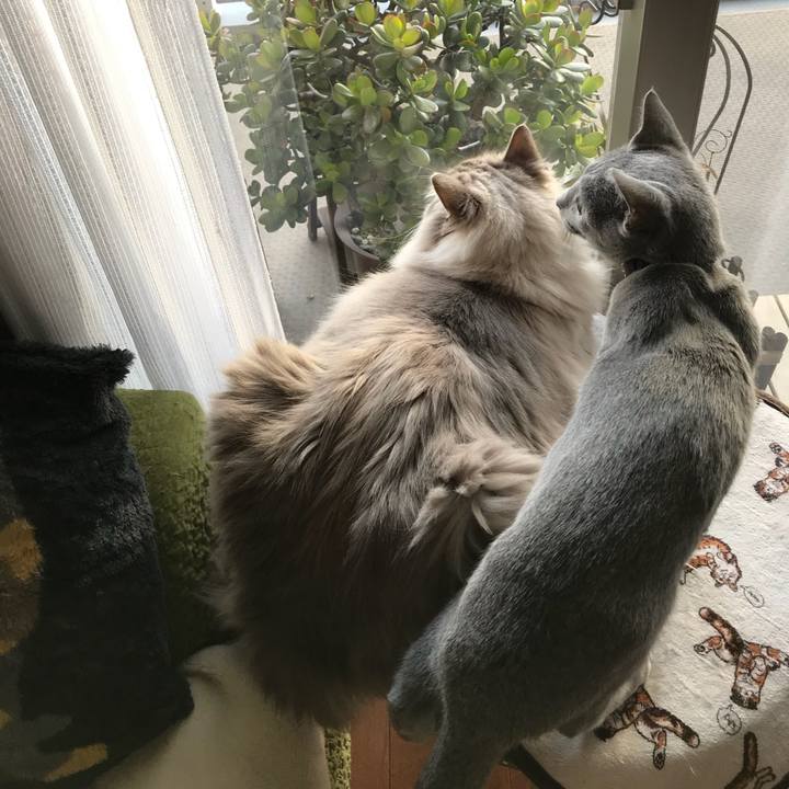 A383728b 0cc5 431e 9b60 4009360e6705 1515755686452