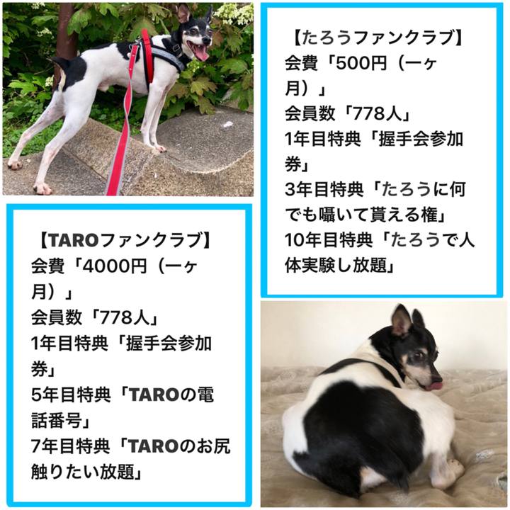 A3837c80 7f47 4966 b2e7 fd84214f5180 1568418541152