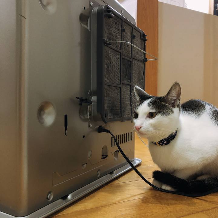 A383fd2c 3985 43e1 9a57 291041b9d3e2 1575372553042