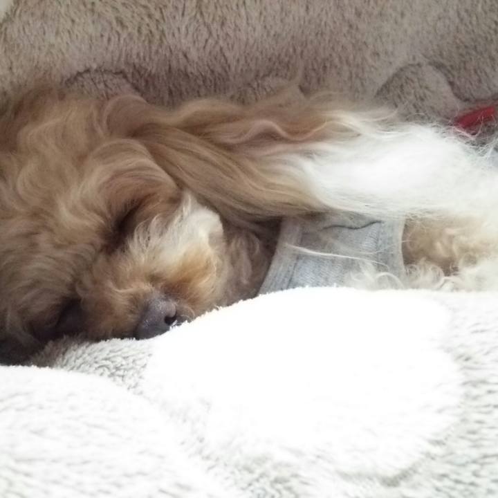 A384109d 8671 4501 8c94 5a8e2cf5d58d 1523279883120