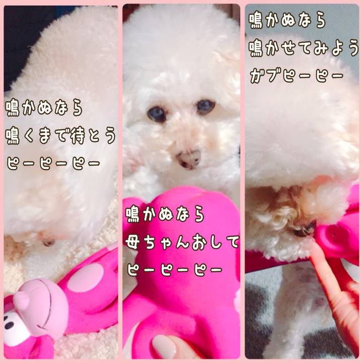 A3842f60 e086 4575 90ed 5f6c52c2e421 1516242339346