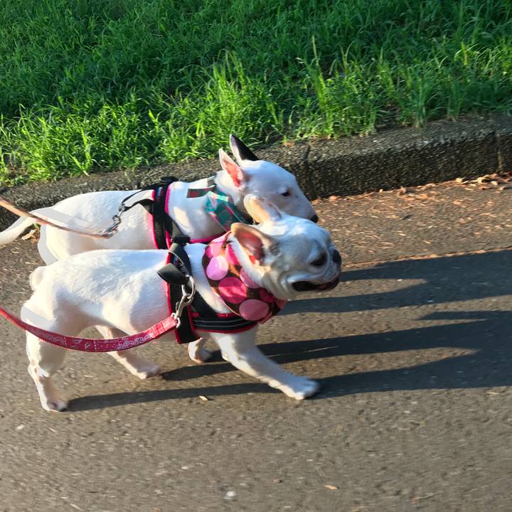 A3844aaa b8f9 42f3 97da d0326476a202 1532494607290