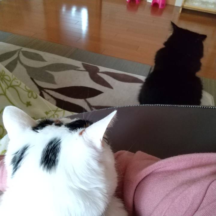 A3847736 b799 4052 bcbf e5c1acc860f7 1589009856727