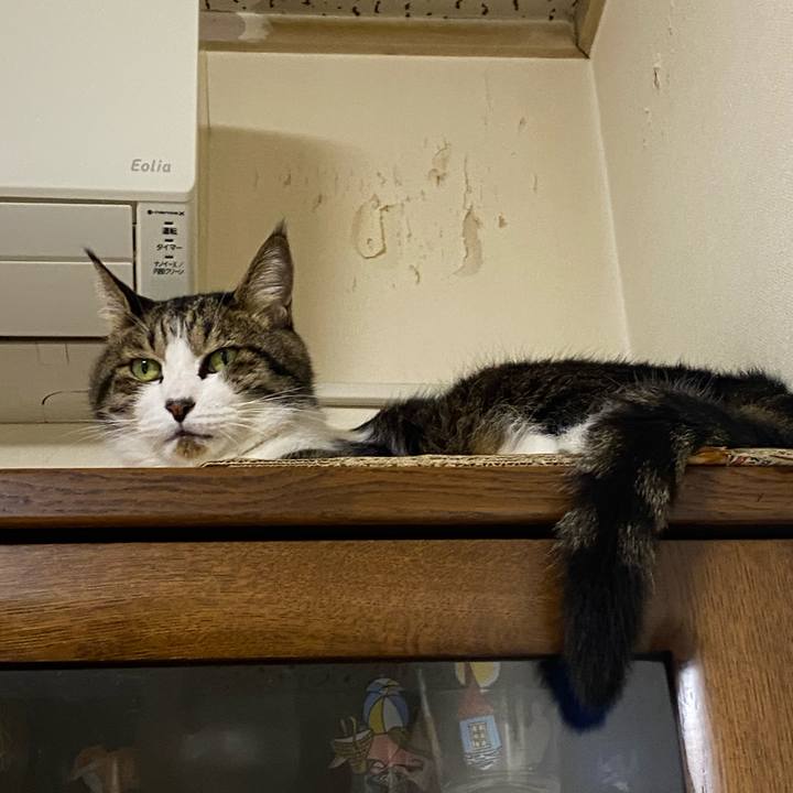 A38486db d3d1 4ae3 b328 2aaf76335c9b 1633105042479