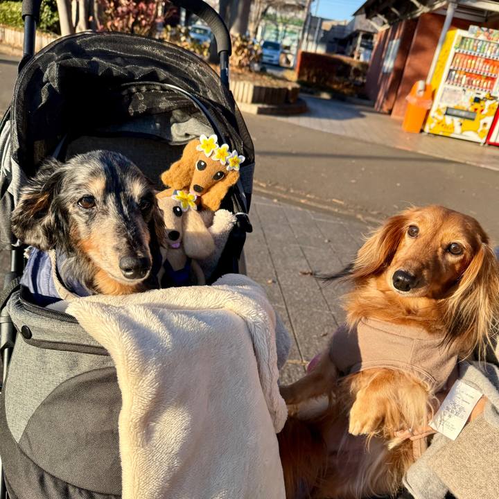 A3848a15 26a5 46d7 b144 0c8042fbc637 1766203951548