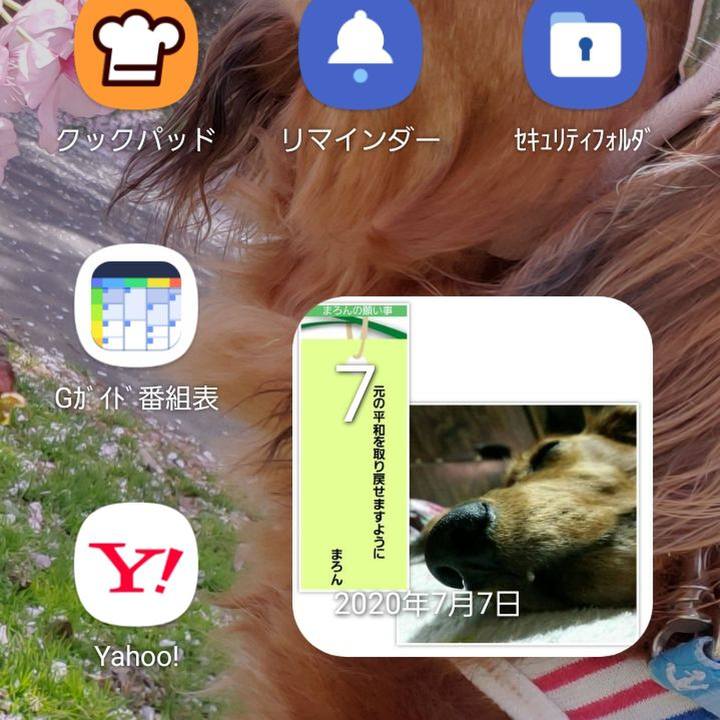 A3849a1b b8bd 4b29 8e4e 840c3ab0c750 1625616629939