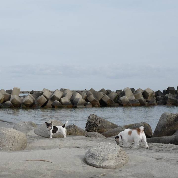 A384b71f ebbc 47b9 a5f7 cc44b07d6351 1554696881655