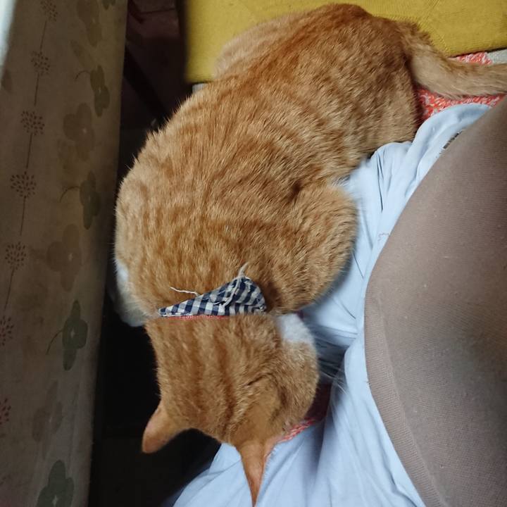 A3852cba 4172 476e 884f de99d847824a 1572136086651