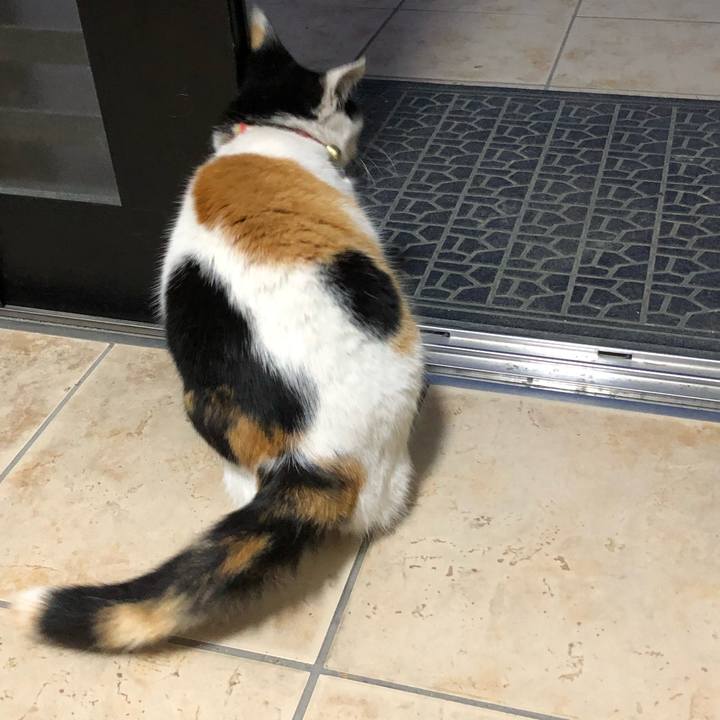 A3856c9c 2623 4139 88eb e17b9c2dbe1e 1607725383142