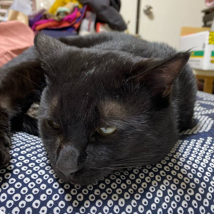 A385b9d4 3e78 465f 9c6c e2b5a4373cc7 1613135128619