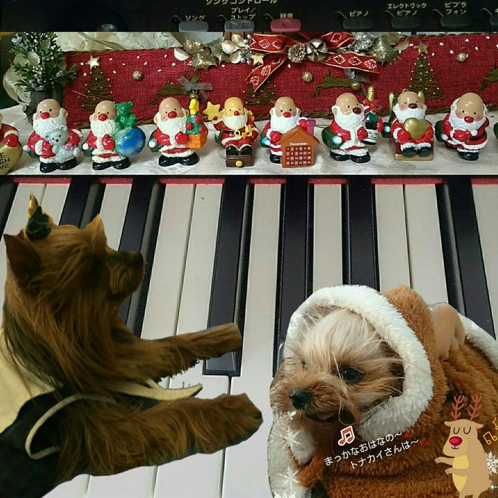 A385c18e 95d5 4aef 9225 f307b71f9bf8 1545551009486