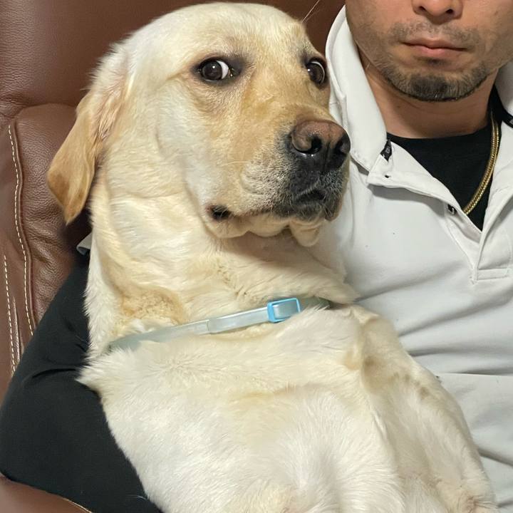 A3860382 c63b 4ca7 b126 18b728b5b415 1683853432998