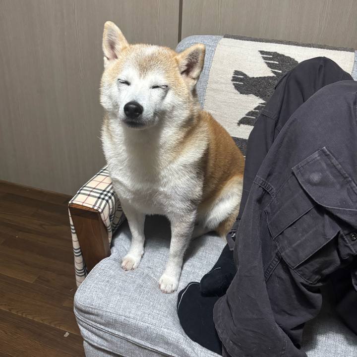 A3869b71 a419 4323 aafe 6767dc3ee572 1734898519832