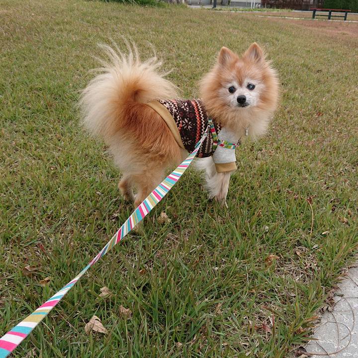 A386da43 6e16 46fd 9807 590202ba463e 1635688000148