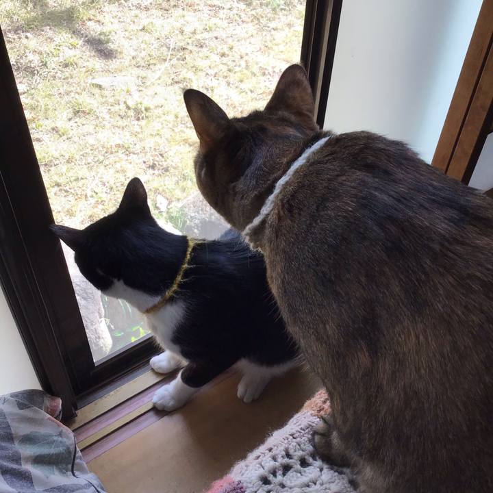 A386e391 e80c 4db2 b197 d0383a3baf07 1646451794502