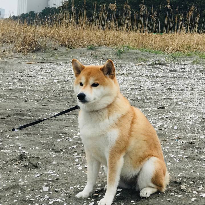 A386e998 adcf 4601 9b84 b83781149e8c 1552699277181