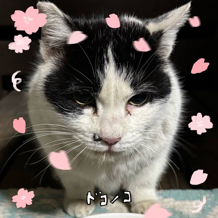 A386f2d2 61a2 4eb6 a4cd d03d0fdaad8d 1744266586083