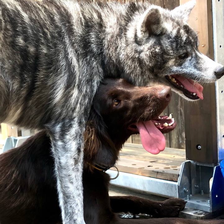 A386f7fd 902e 418e ad62 48ea18312003 1586397155299