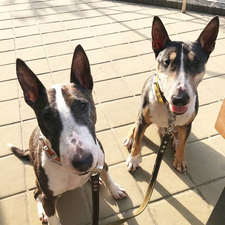 A386f930 e625 4f05 83b3 f8f47961113d 1522580711405