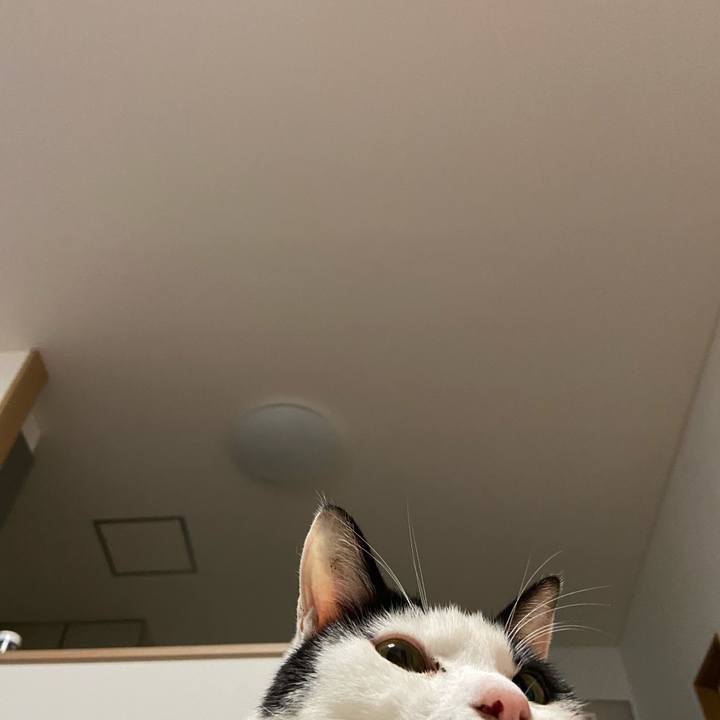 A3870182 42e1 4f33 90c8 1aaf31571f8a 1606650587206