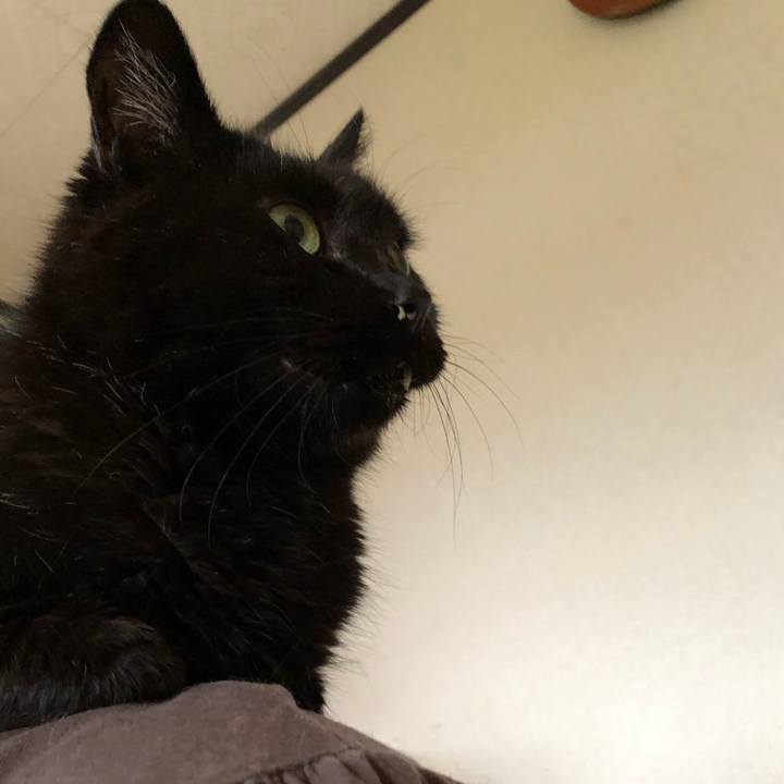 A3871289 8e4c 41f2 a618 8742e25e3946 1624441890301