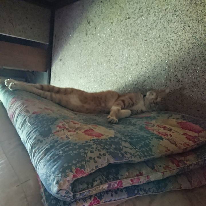 A38719ae f2f6 406a 9898 643b21b92d9e 1598241830440