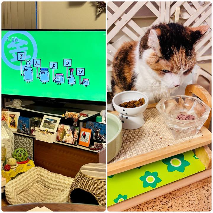 A387ae13 8bb0 41d5 af35 9faa744f7981 1737673795920