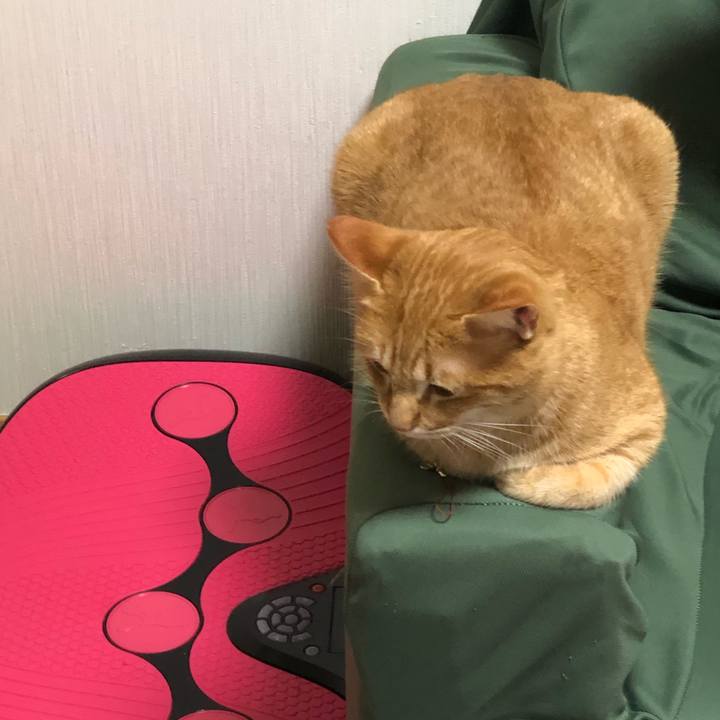 A387c9eb 9498 48c2 b956 b7e29312235a 1547115449538