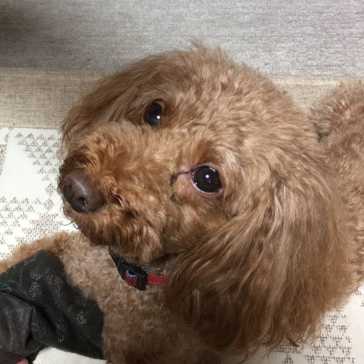 A387ddb7 e5a7 4d6c 93a5 ebe6f7bf8ce2 1534403974745