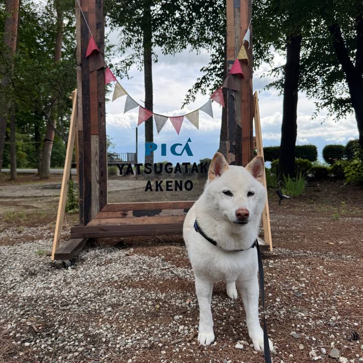 A3888615 47f7 4ab9 9489 61fd94784b8f 1752825437120