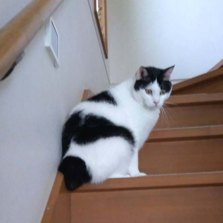 A3888b05 67ec 4d60 bc4d 42d763a0b6fb 1529765384287