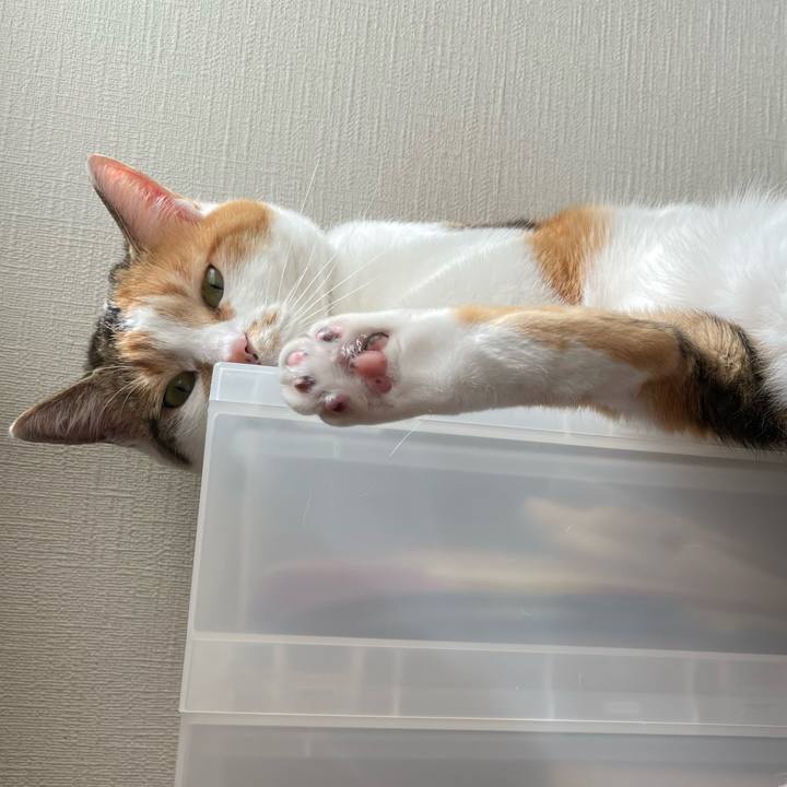 A3889ba4 bb95 499e a2fb 9929c5c394a7 1713065062553