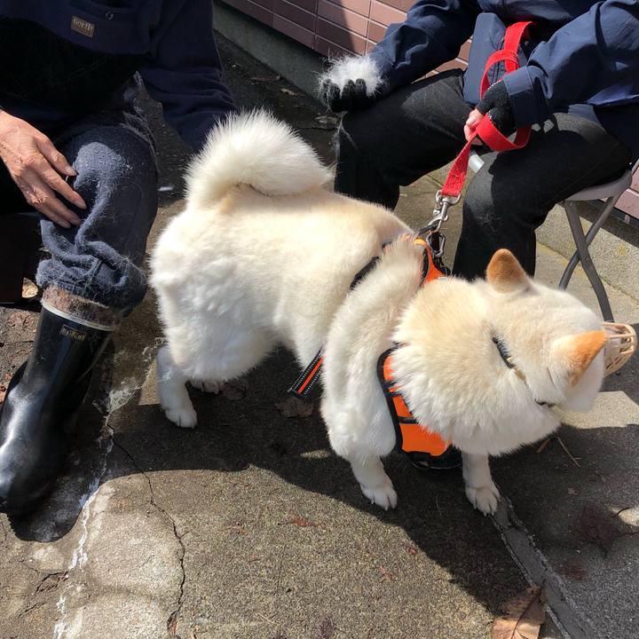 A388ca64 bcec 491c 8151 468129165d92 1616809609432