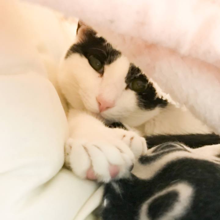 A388db90 8b67 4aea a332 4f49578aab80 1520123468084