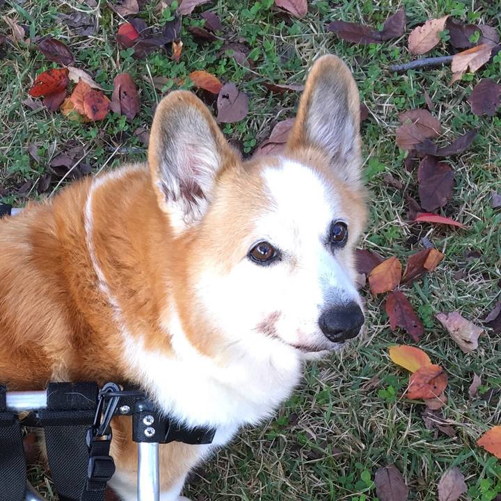 A388f0be 4242 44c2 b31e ef7333724a82 1546261918281