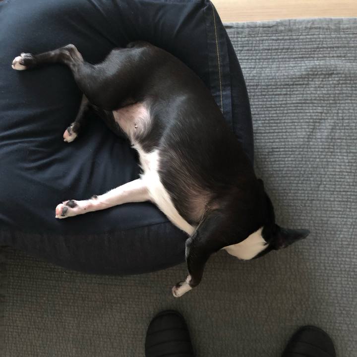 A388f8c6 de2d 402d 9f4f 5ce02c4b464e 1721177499191